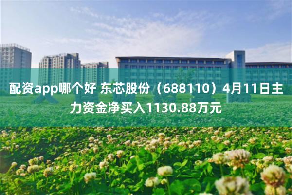 配资app哪个好 东芯股份（688110）4月11日主力资金净买入1130.88万元