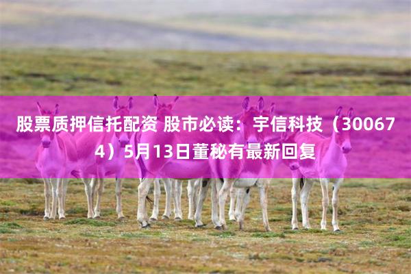 股票质押信托配资 股市必读：宇信科技（300674）5月13日董秘有最新回复