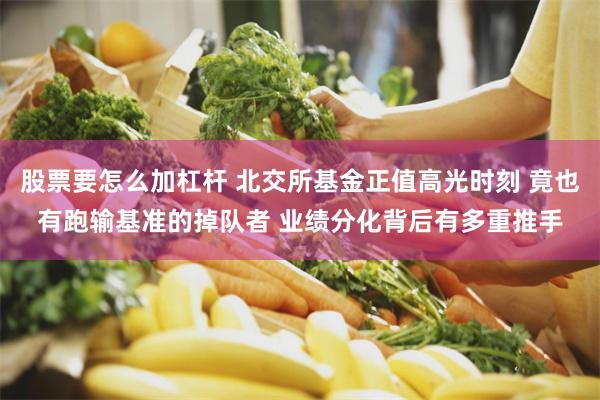股票要怎么加杠杆 北交所基金正值高光时刻 竟也有跑输基准的掉队者 业绩分化背后有多重推手