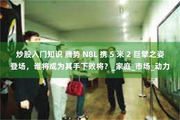 炒股入门知识 腾势 N8L 携 5 米 2 巨擘之姿登场，谁将成为其手下败将？_家庭_市场_动力