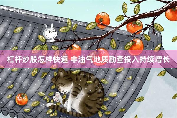 杠杆炒股怎样快速 非油气地质勘查投入持续增长