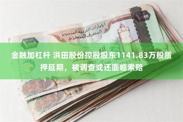 金融加杠杆 洪田股份控股股东1141.83万股质押延期，被调查或还面临索赔