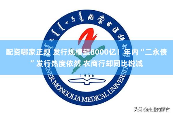 配资哪家正规 发行规模超8000亿！年内“二永债”发行热度依然 农商行却同比锐减
