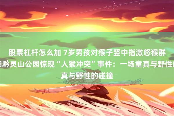 股票杠杆怎么加 7岁男孩对猴子竖中指激怒猴群，贵阳黔灵山公园惊现“人猴冲突”事件：一场童真与野性的碰撞
